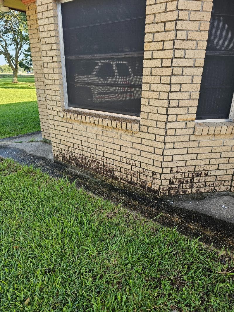 House Wash and Concrete Demo in Church Point, LA Thumbnail